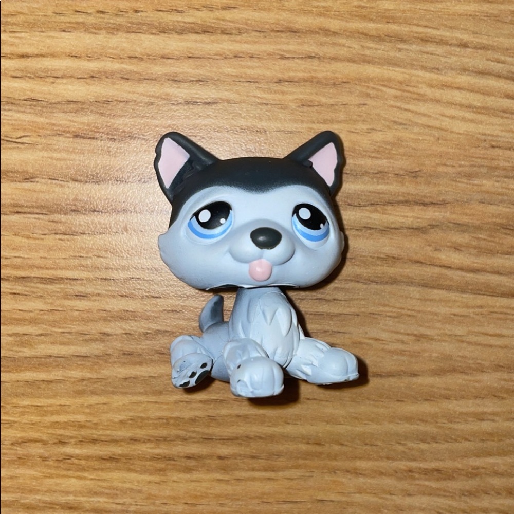 littlest pet shop # 210 dark gray & white sitting husky puppy dog with blue eyes